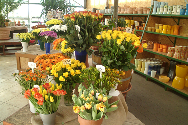 Gartencenter Französisch Buchholz