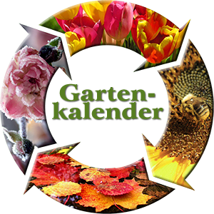 Gartenkalender für saisonale Arbeiten im Garten