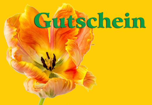 Mit Gutschein Freude verschenken
